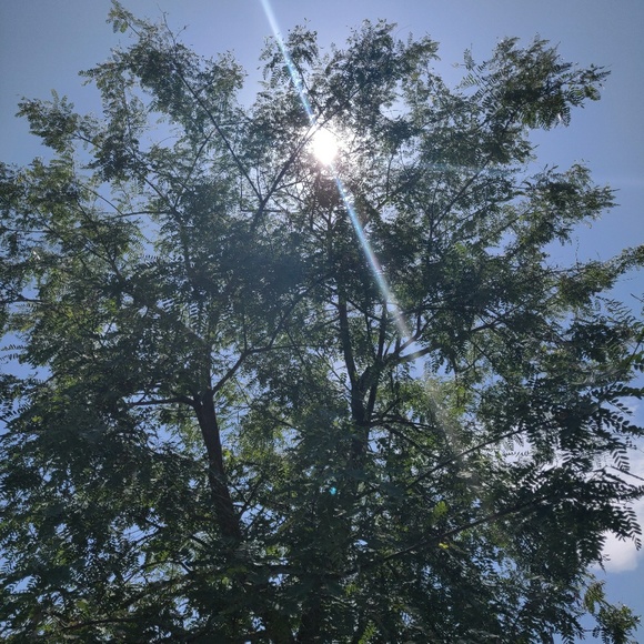 Meet your Posher, Kaylah - Picture 1 of 1